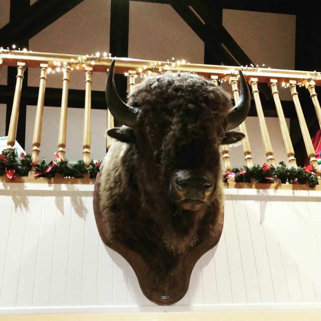 Le bison de Noël, ça change des rennes chez @buffalogrill Cherbourg ! 🎄🎅